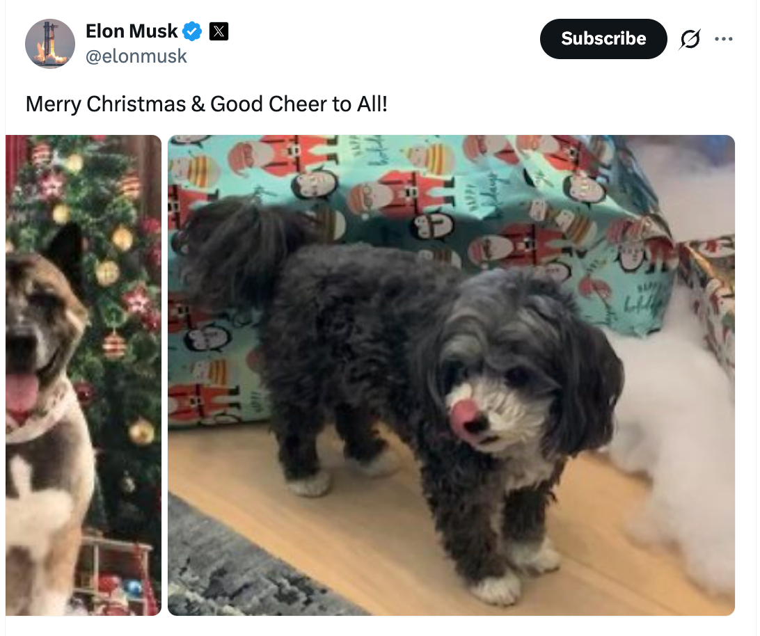 Elon Musk Christmas 2022 post showing three family dogs