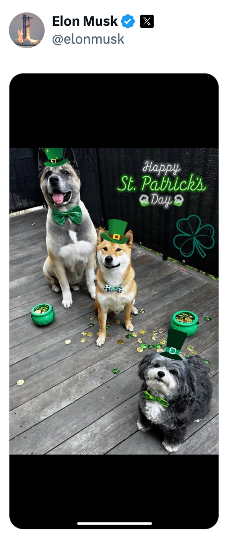 Elon Musk St Patrick's Day 2024 post showing three dogs in green hats
