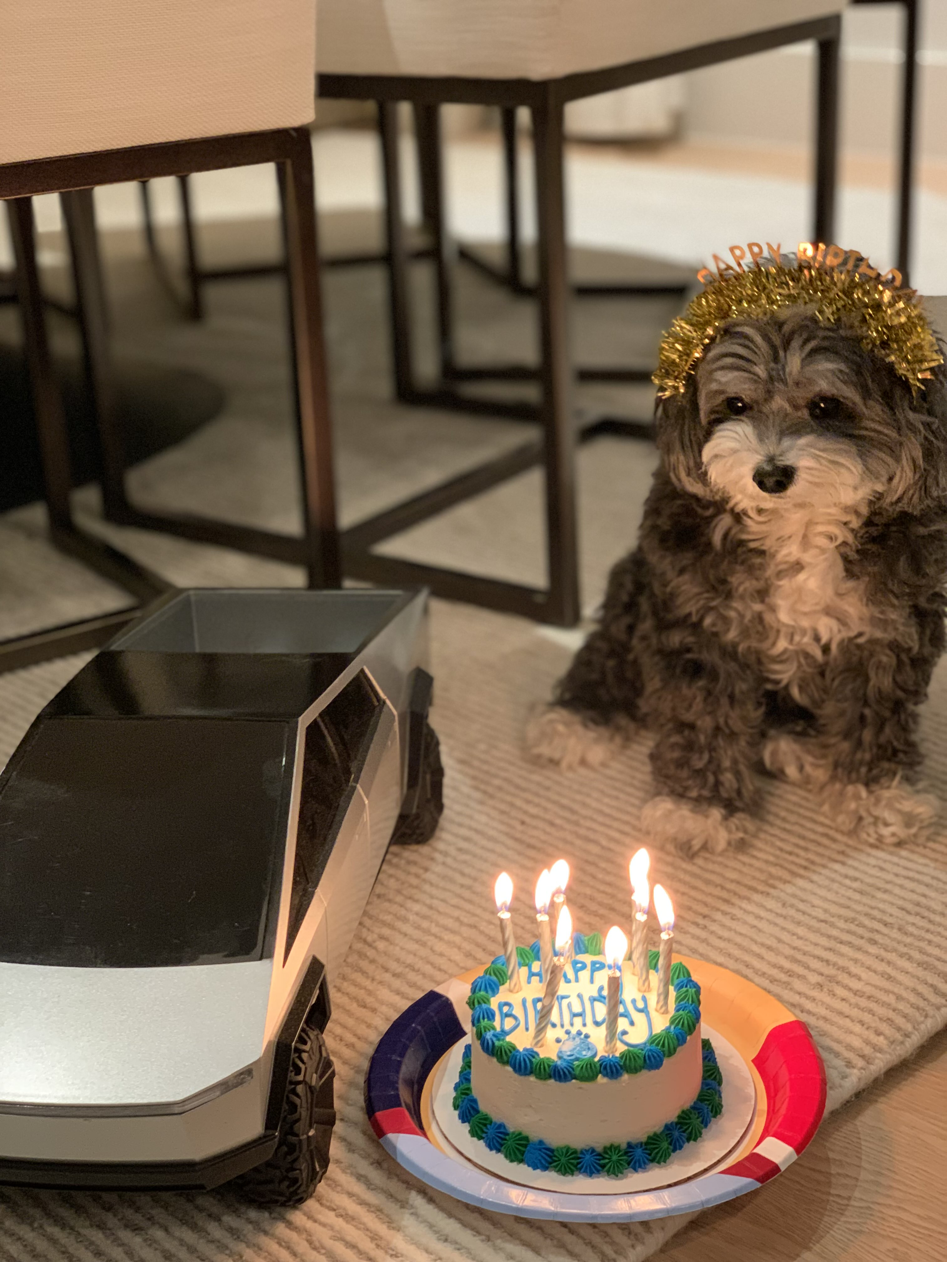 Marvin wearing a birthday crown beside a birthday cake and toy car