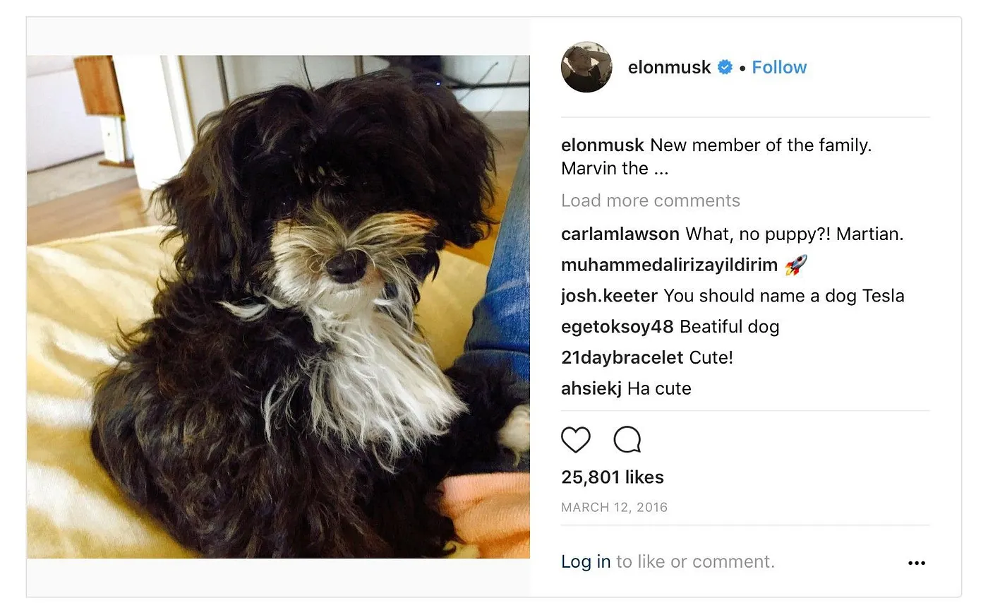 Young Marvin in a 2016 Elon Musk Instagram post introducing a new family member